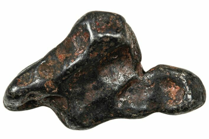 Agoudal Iron Meteorite ( g) - Morocco #303913